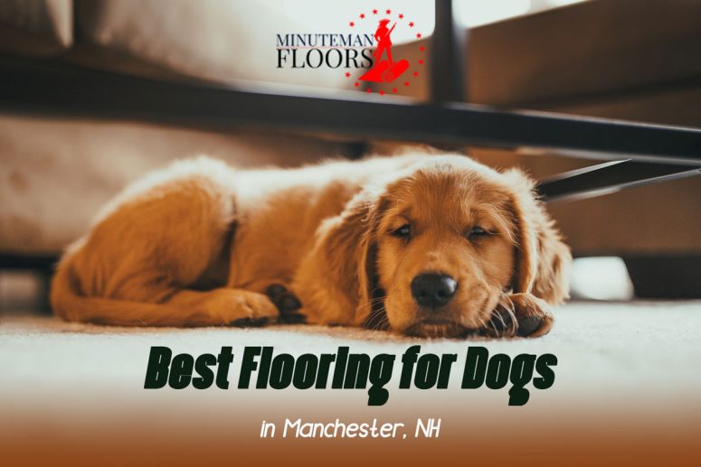 What Kind of Flooring is Best for Dogs?