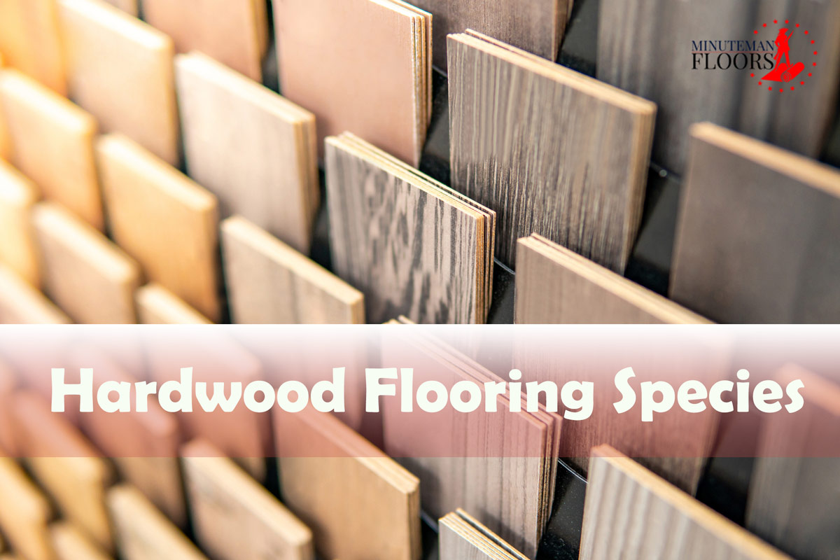 Choosing the Right Hardwood Flooring Species; A Practical Guide